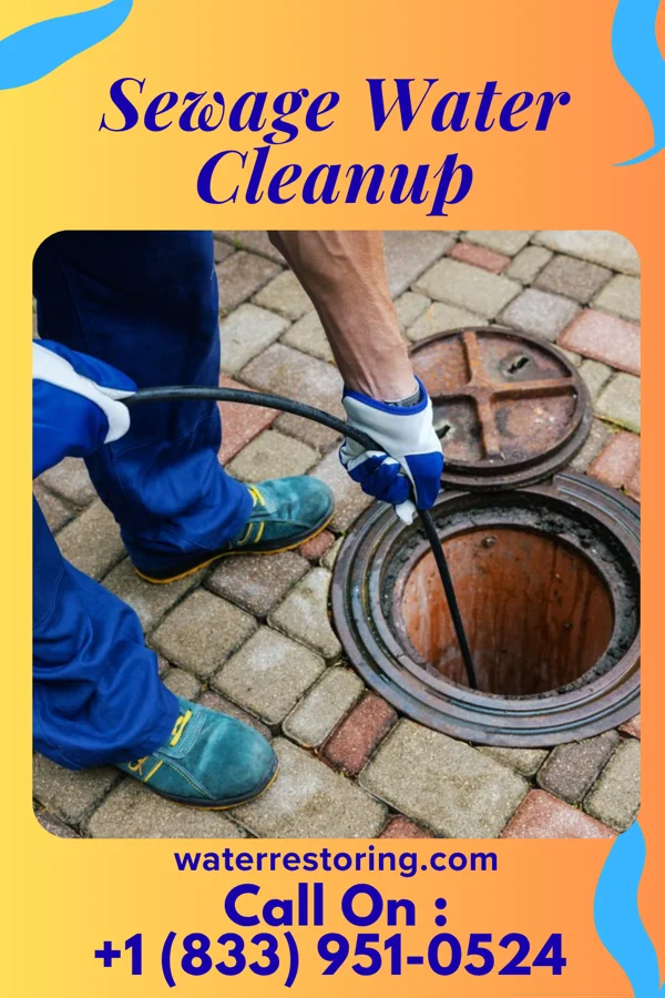 Sewage Water Cleanup in Winnetka, IL